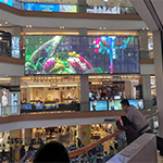 Indoor transparent 1000S series Indoor transparent 1000S series