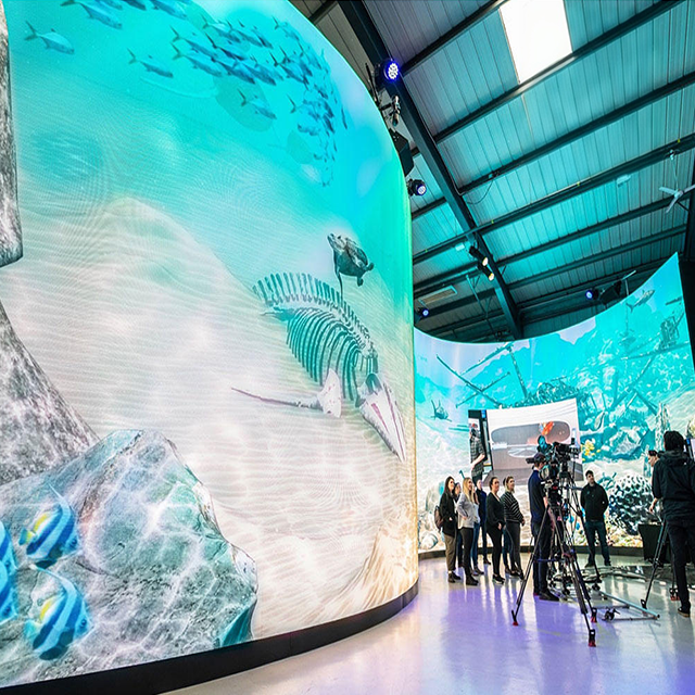 Indoor Fixed Wall Panel Custom Flexible LED Display Screen